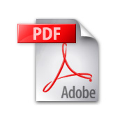 Download PDF of Steve's Resume
