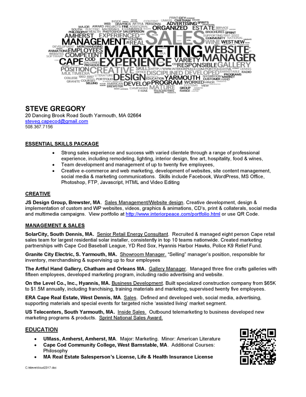 Steve's Resume 2017